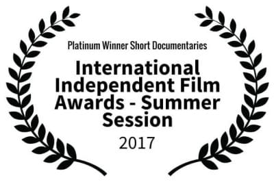 Platinum Winner - International Independent Film Awards